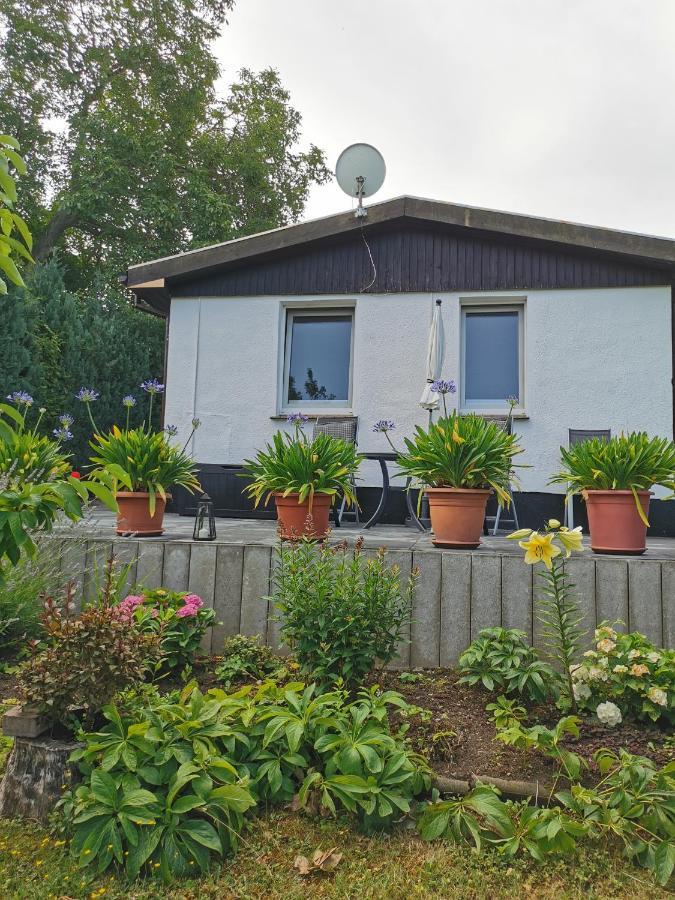 Ferienhaus Appold Wernigerode Luaran gambar